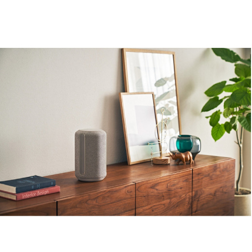 Sony SRS-RA3000 Gray